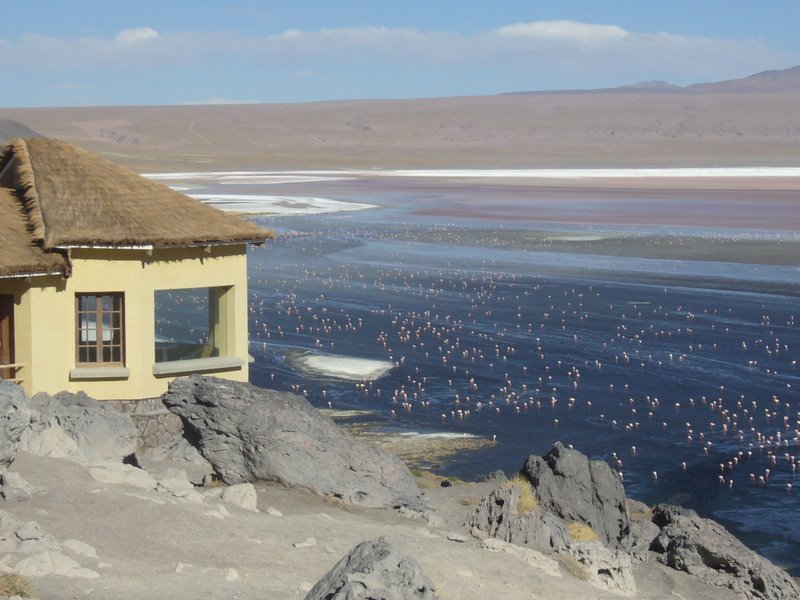 Travel - Bolivia - Salar De Uyuni - Laguna 4